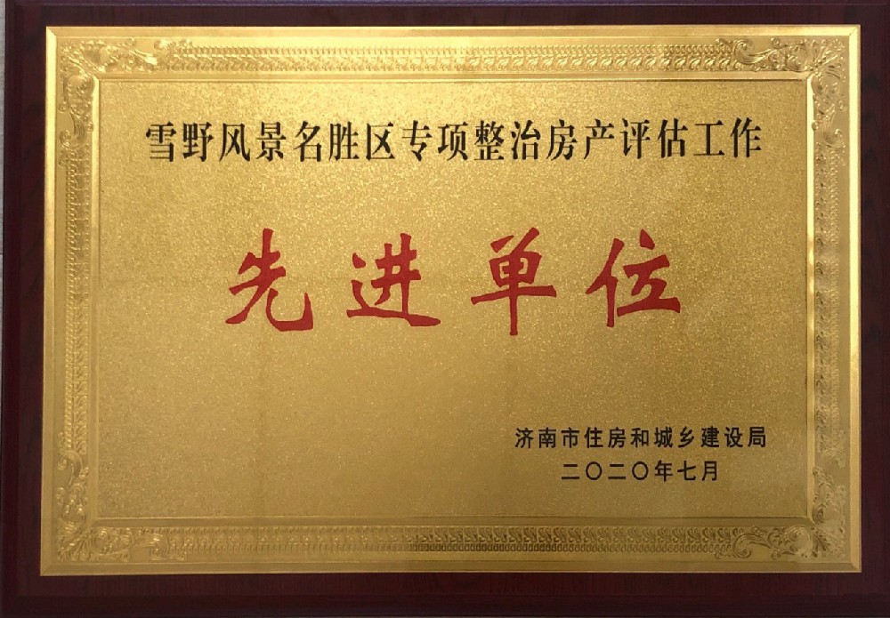 雪野风景名胜区专项整治房产评估工作先进单位