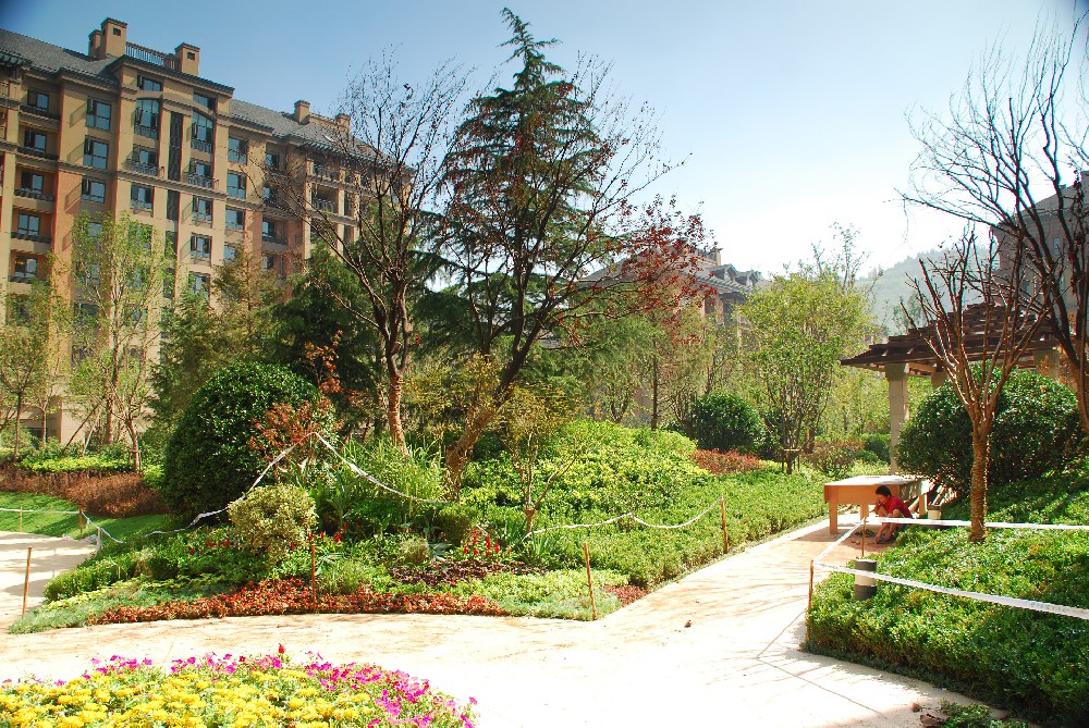 第十一届全运会运动员村2